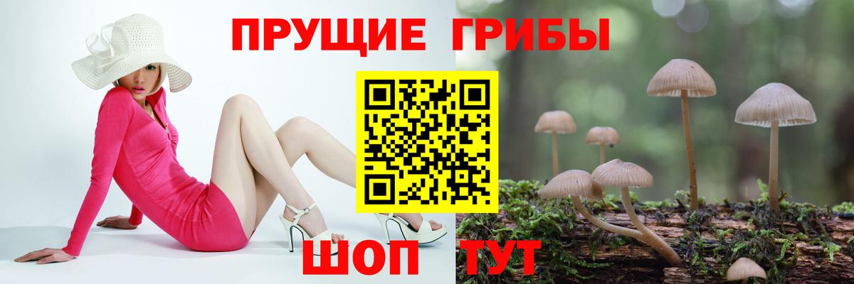 Псилоцибиновые грибы Psilocybine cubensis Серпухов